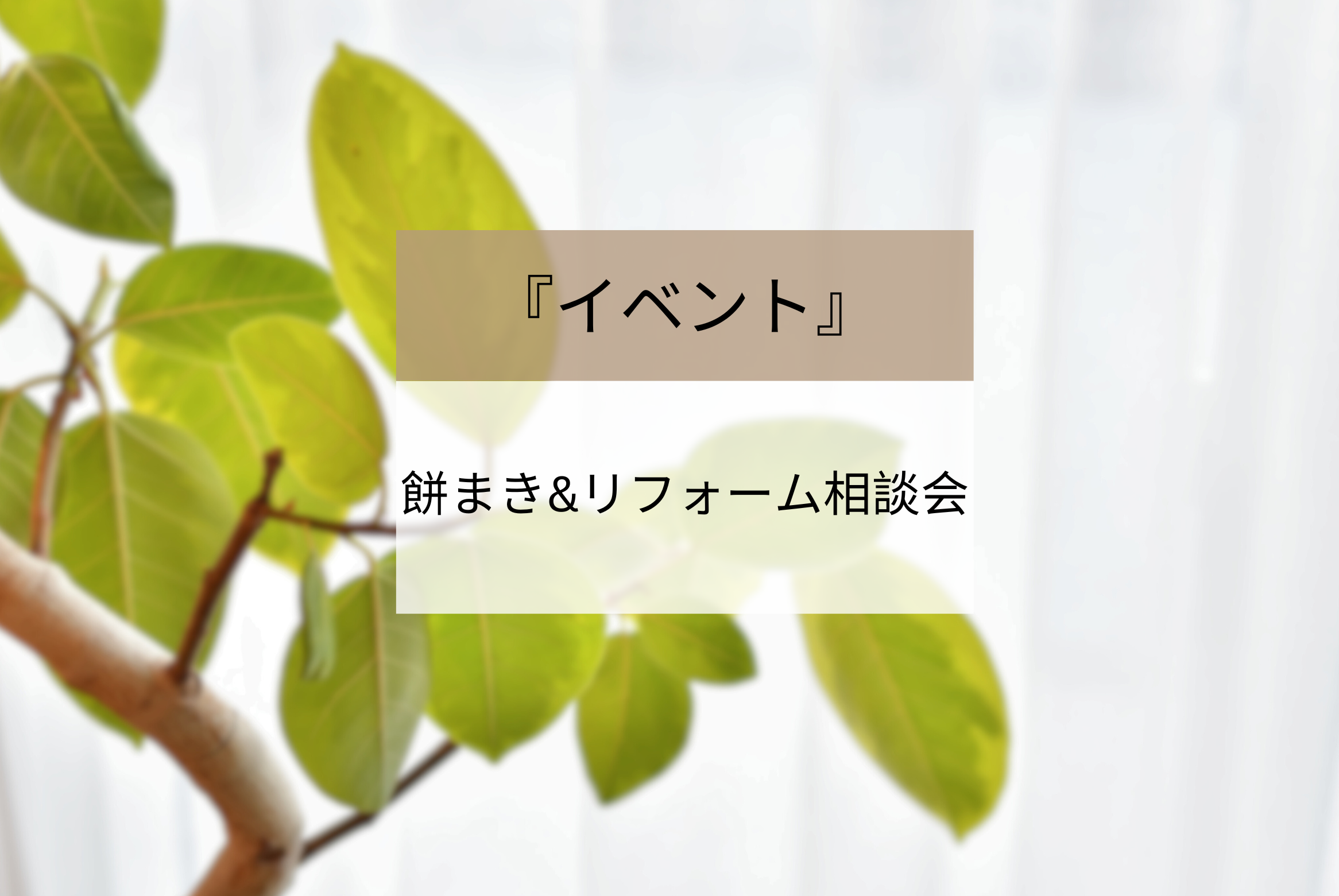 CODAの餅まき＆リフォーム相談会開催！