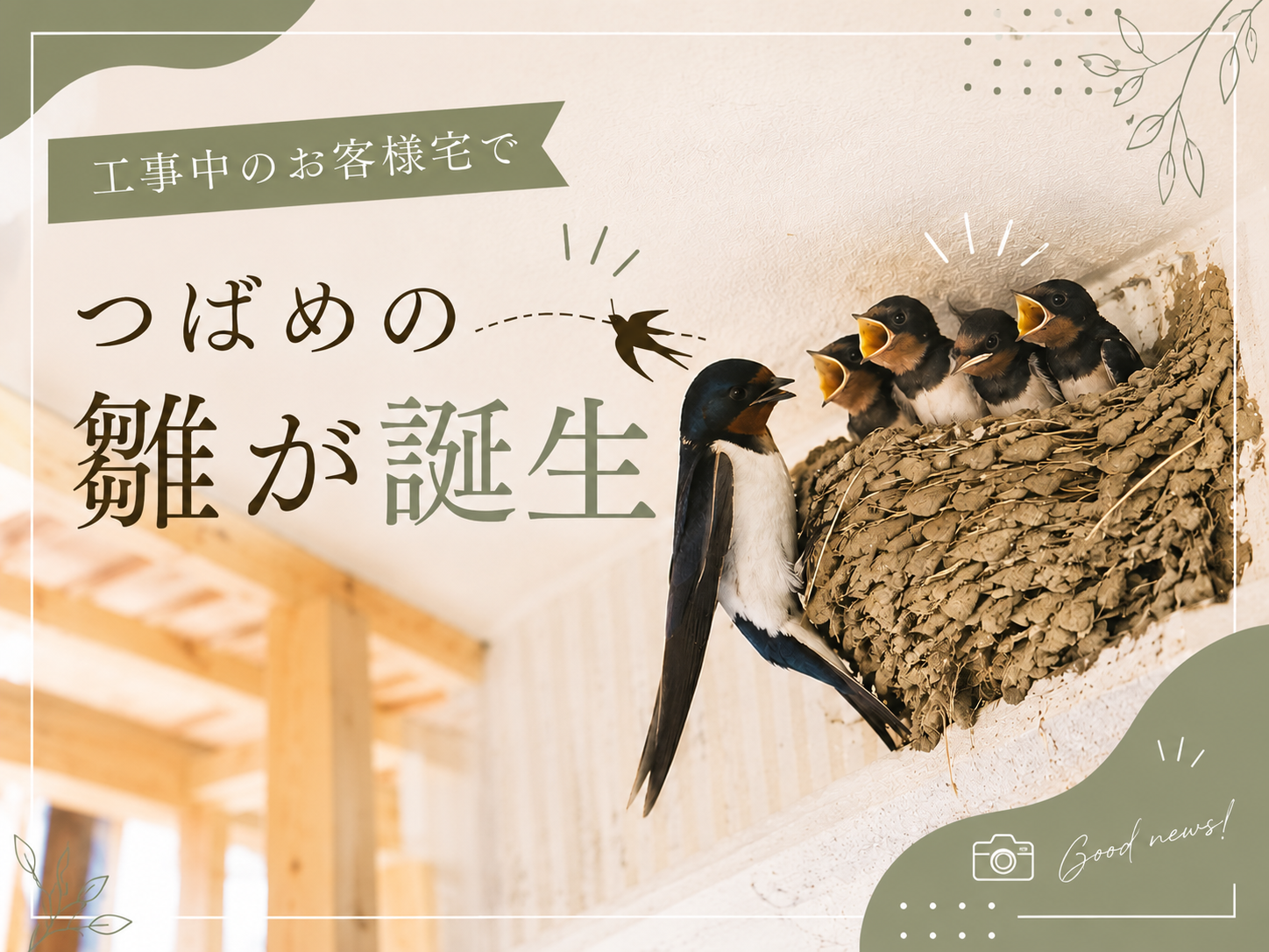 工事中のお客様宅で、つばめの雛が誕生